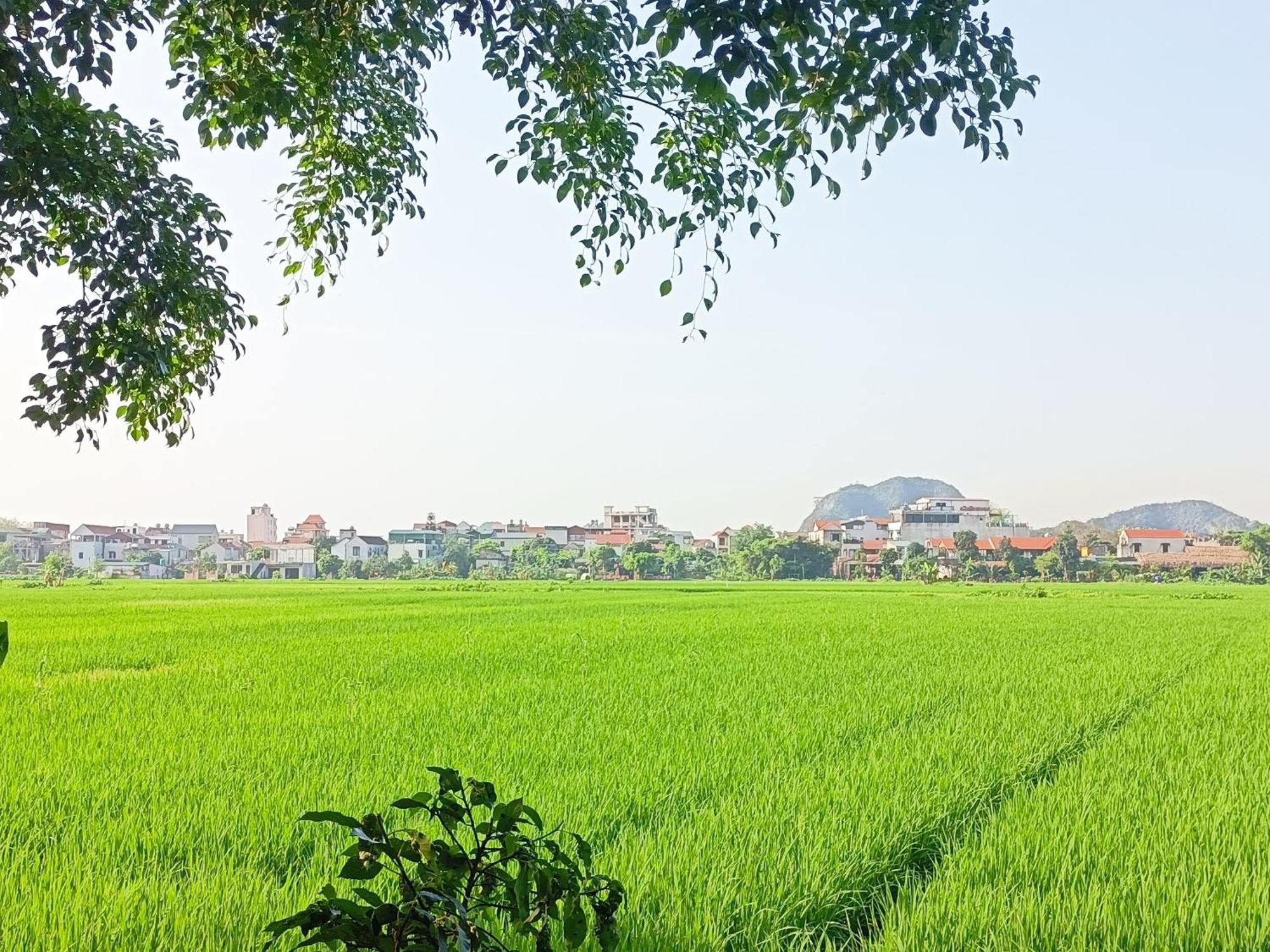 Tam Coc Sunshine Homestay Ninh Bình Kültér fotó