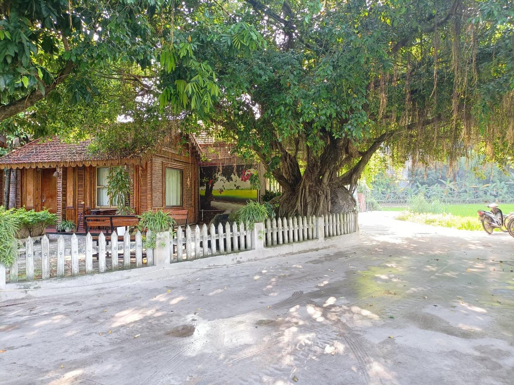 Tam Coc Sunshine Homestay Ninh Bình Kültér fotó