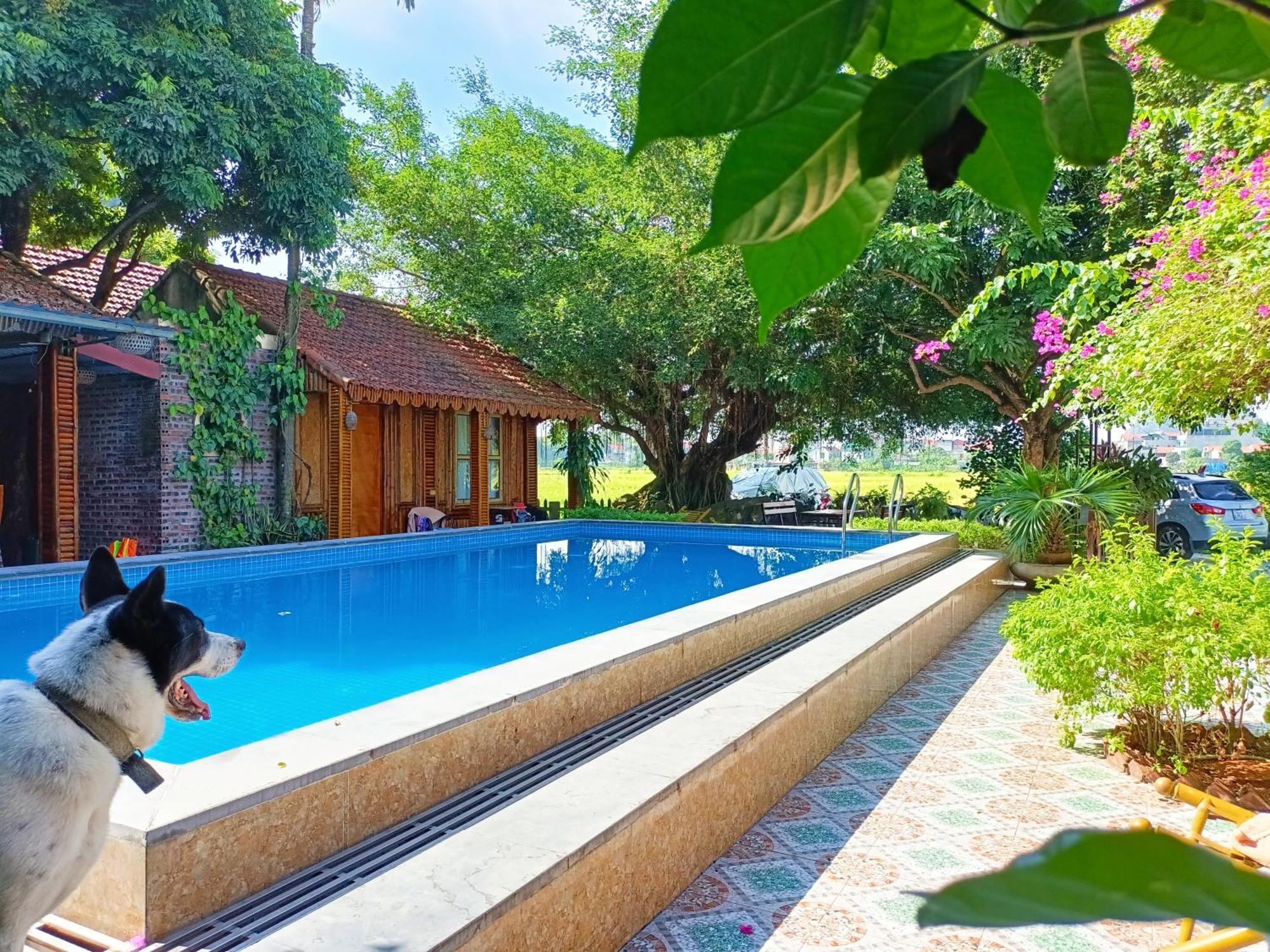 Tam Coc Sunshine Homestay Ninh Bình Kültér fotó
