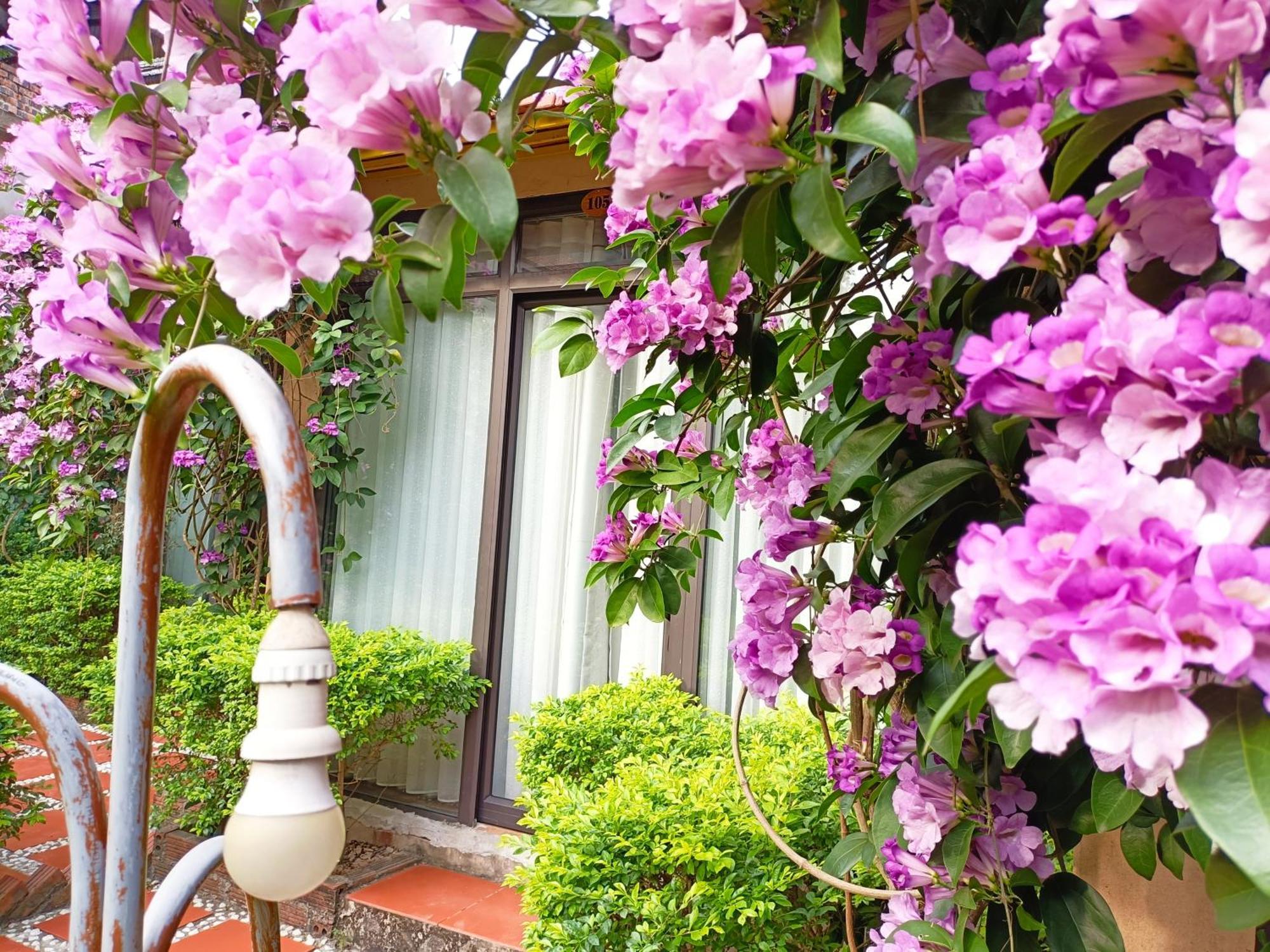 Tam Coc Sunshine Homestay Ninh Bình Kültér fotó