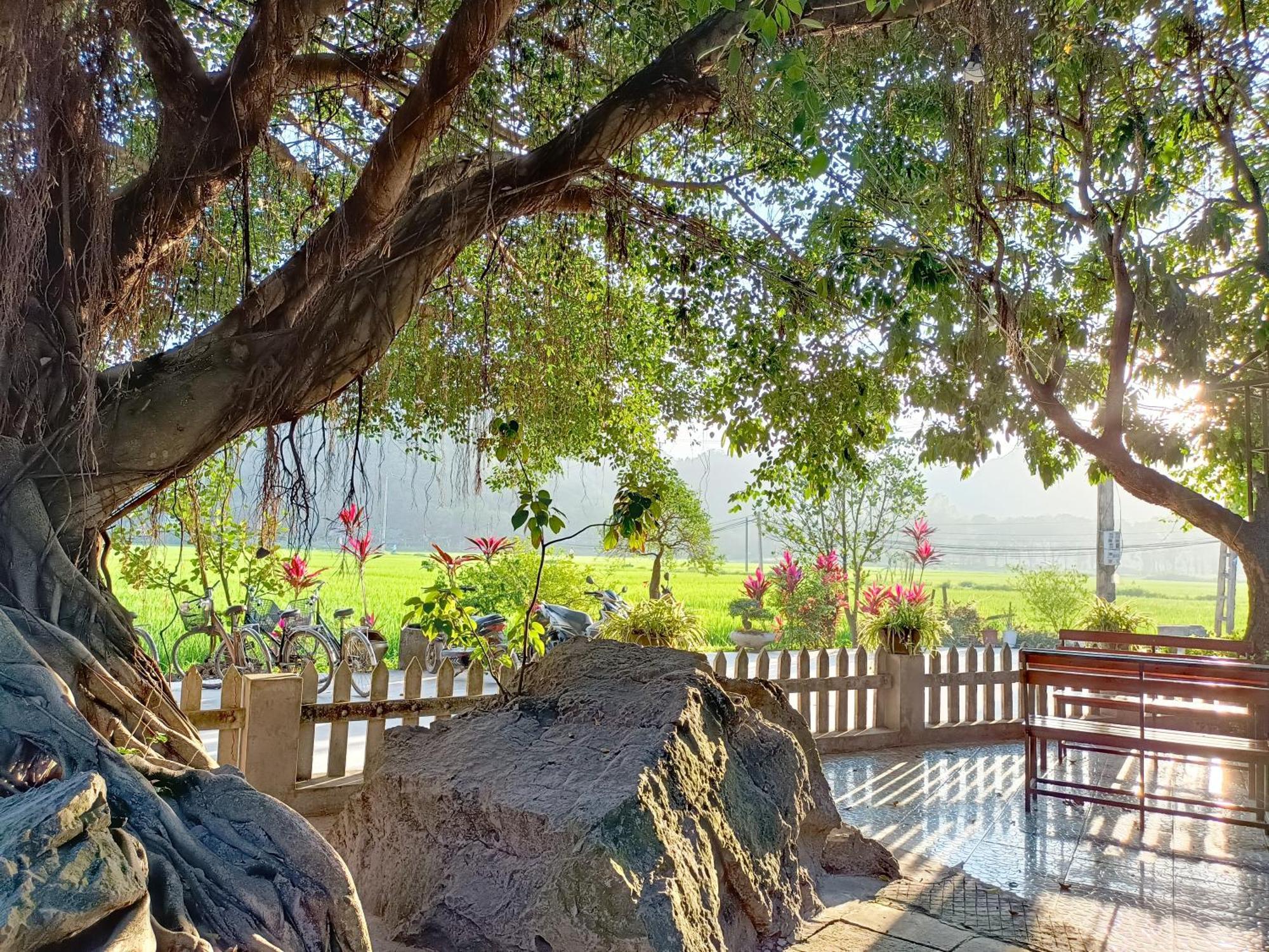 Tam Coc Sunshine Homestay Ninh Bình Kültér fotó