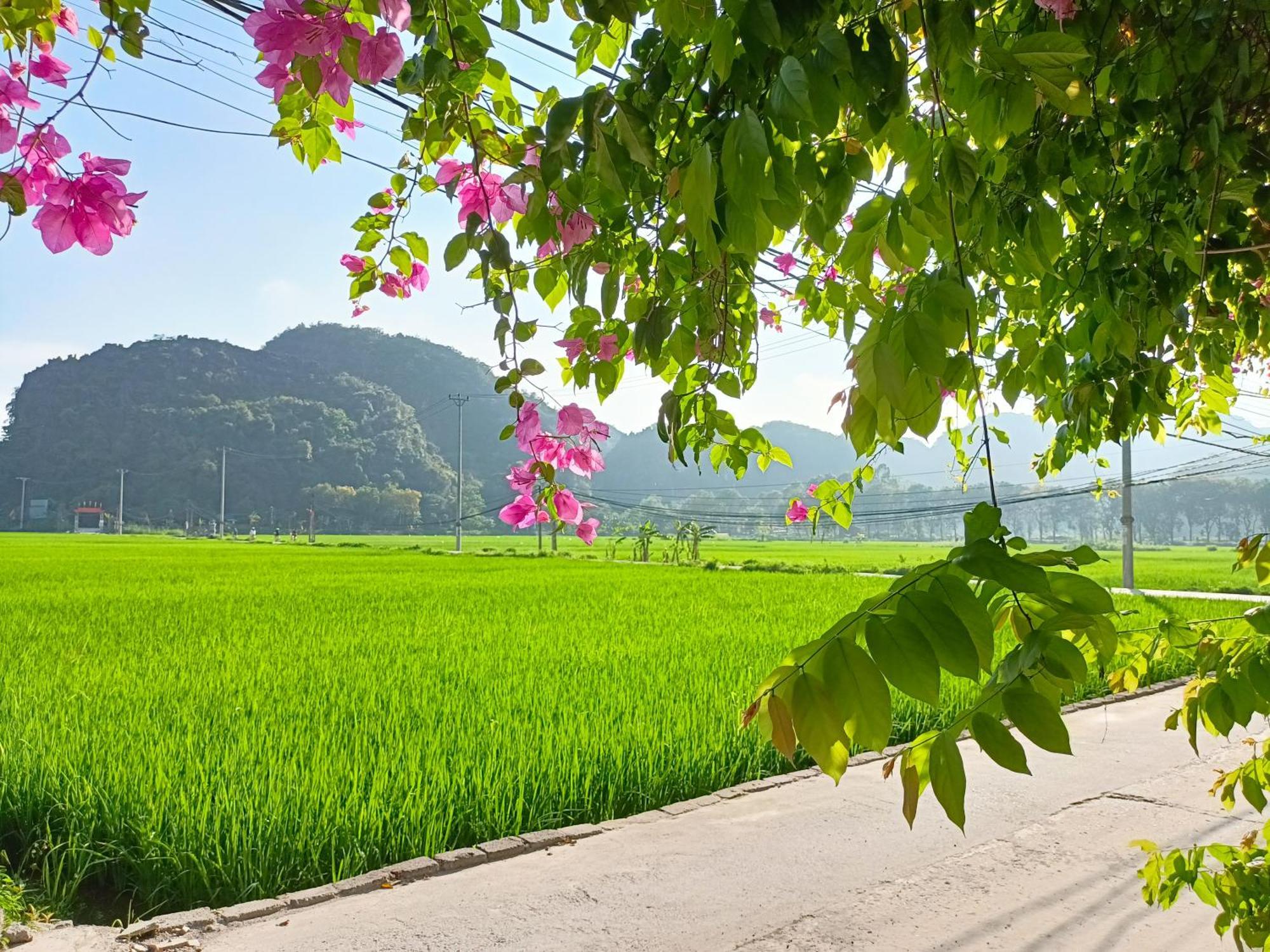 Tam Coc Sunshine Homestay Ninh Bình Kültér fotó