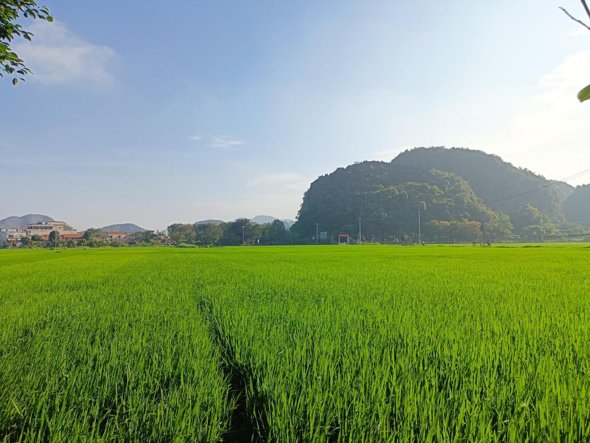 Tam Coc Sunshine Homestay Ninh Bình Kültér fotó